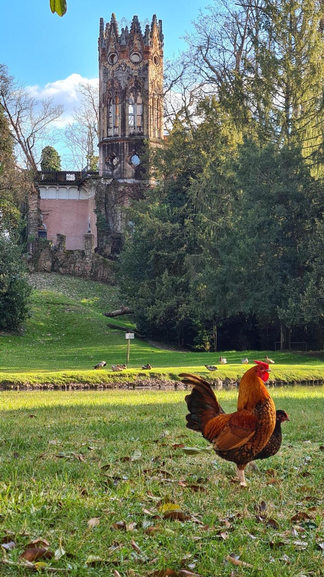 Appartamento Casa Ani Mirano Esterno foto